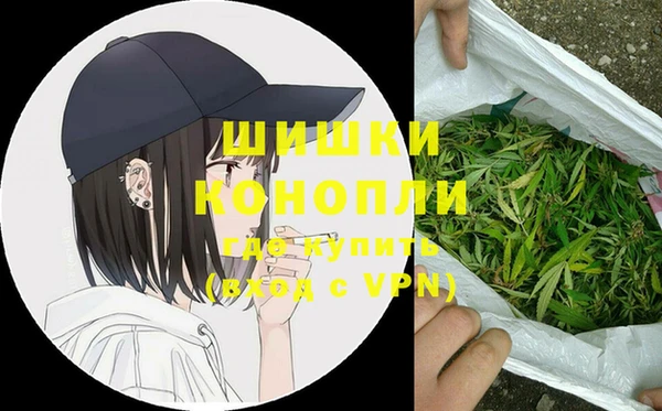 дурь Арсеньев