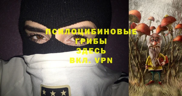 дурь Арсеньев