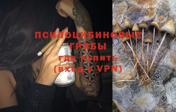 дурь Арсеньев