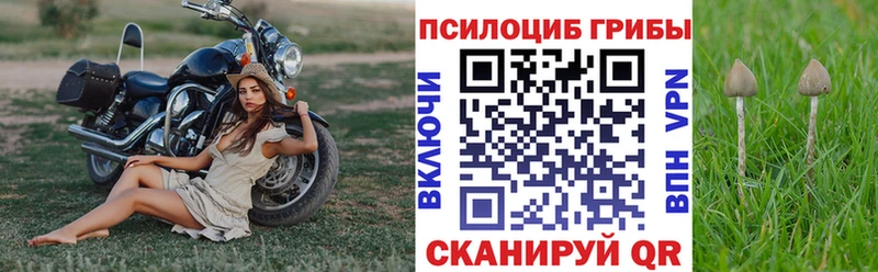 omg зеркало  сайты даркнета состав  Галлюциногенные грибы MAGIC MUSHROOMS  Мурманск 